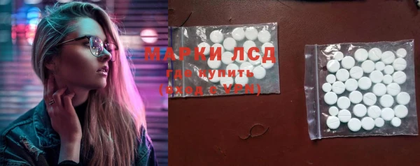 альфа пвп Новодвинск