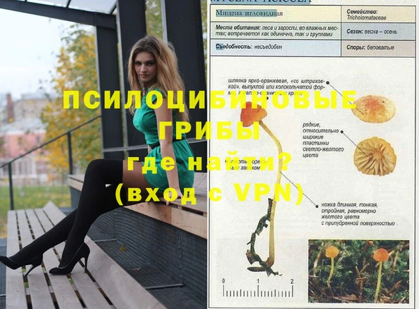 гашишное масло Дубовка