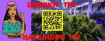тгк Гай
