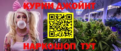тгк Гай