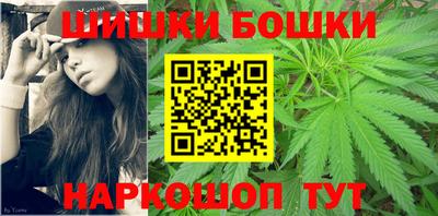 индика Гатчина