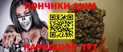 индика Гатчина