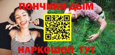 индика Гатчина