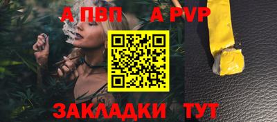 индика Гатчина