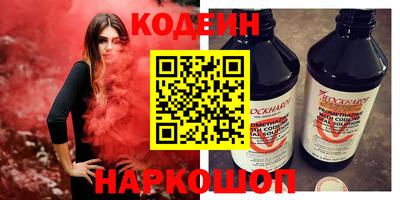индика Гатчина