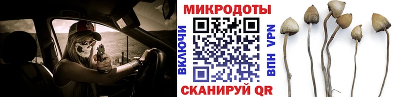 Галлюциногенные грибы ЛСД  купить  цена  Знаменск 