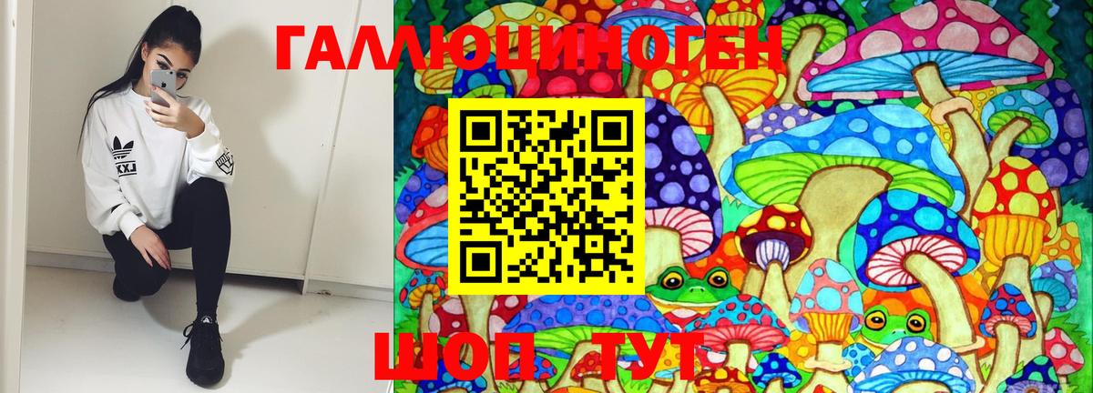 Галлюциногенные грибы Psilocybine cubensis  Знаменск 