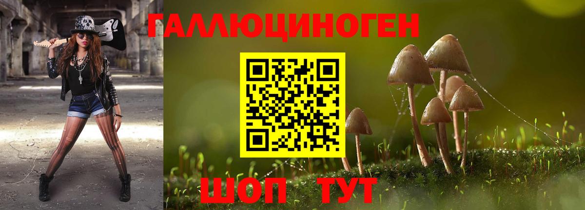 Галлюциногенные грибы мицелий  Псилоцибиновые грибы мицелий  Вход с VPN  Знаменск 